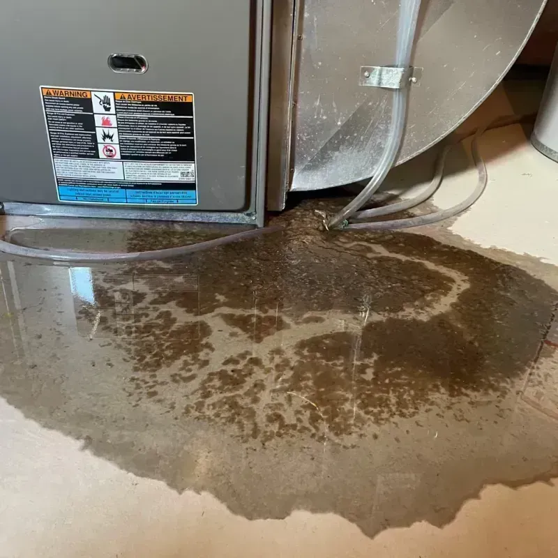 Appliance Leak Cleanup in Kingsford, MI